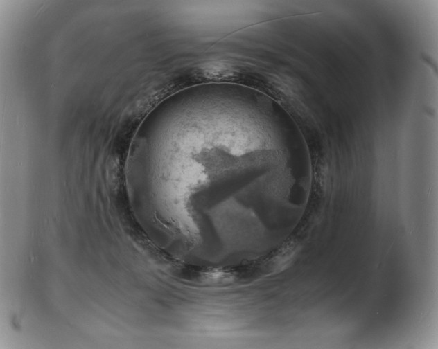 X0000103250319200808281509