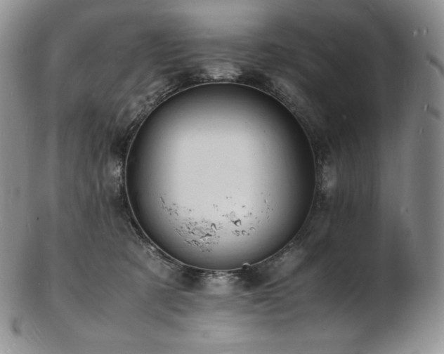 X0000103250321200808281509