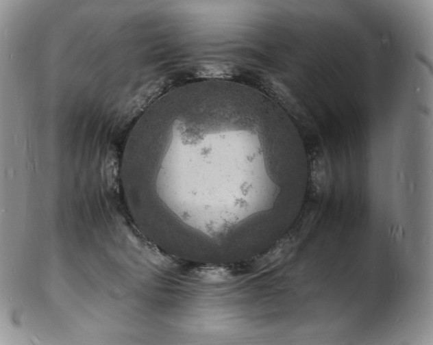 X0000103250322200808281509