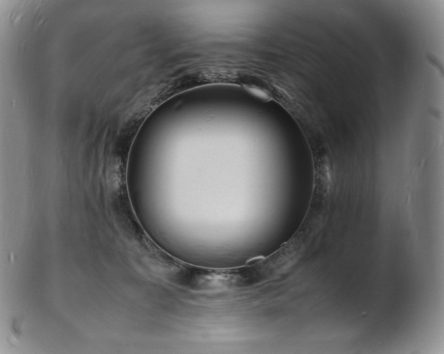 X0000103250323200808281509