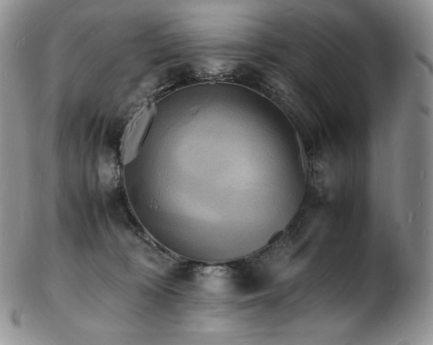 X0000103250324200808281509
