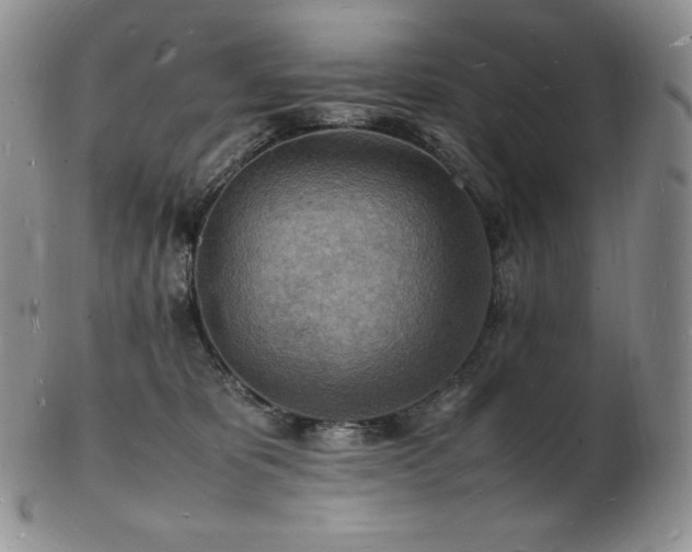 X0000103250325200808281509