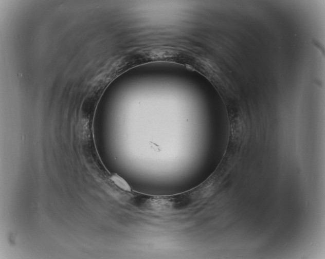 X0000103250327200808281509
