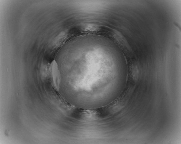 X0000103250328200808281509