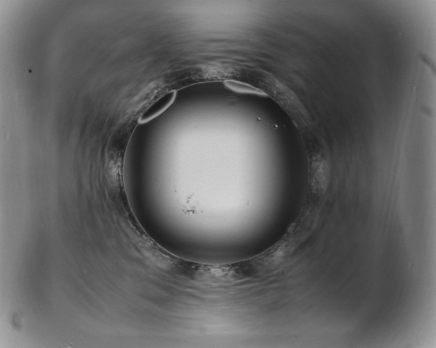 X0000103250329200808281509