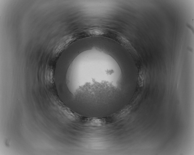 X0000103250330200808281509