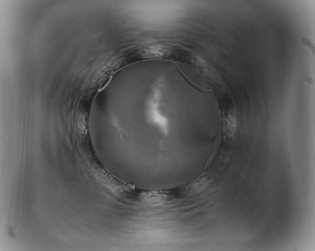 X0000103250331200808281509