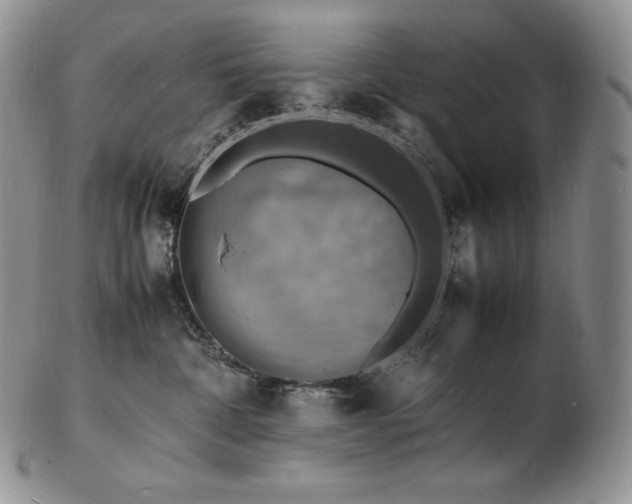 X0000103250332200808281509