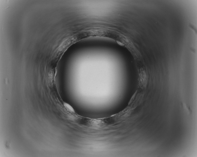 X0000103250333200808281509