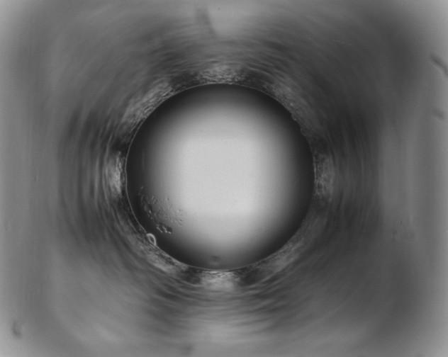 X0000103250334200808281509