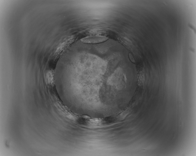 X0000103250335200808281509