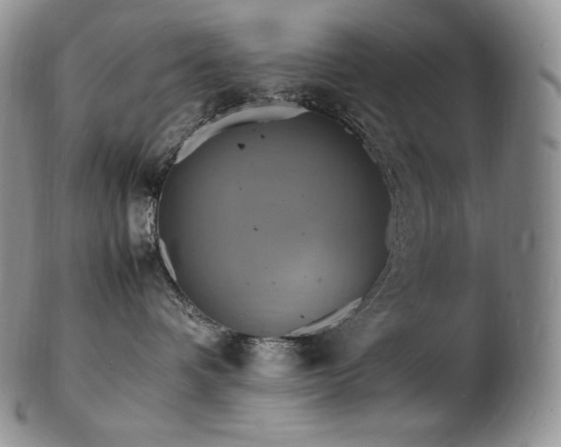 X0000103250336200808281509