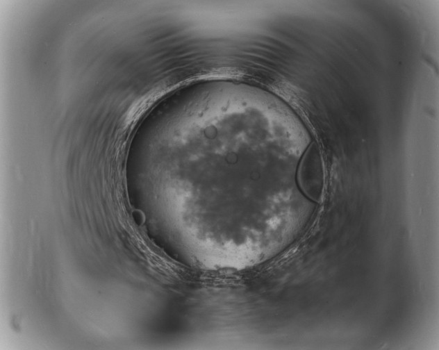 X0000103250337200808281508