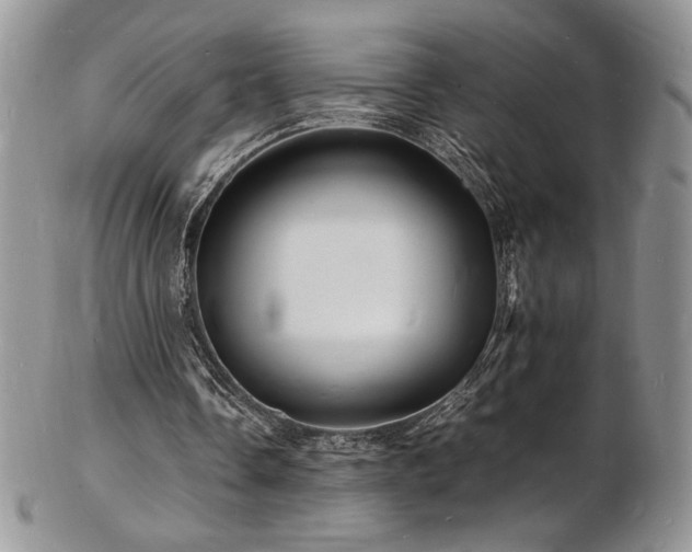 X0000103250338200808281508