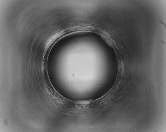 X0000103250340200808281508