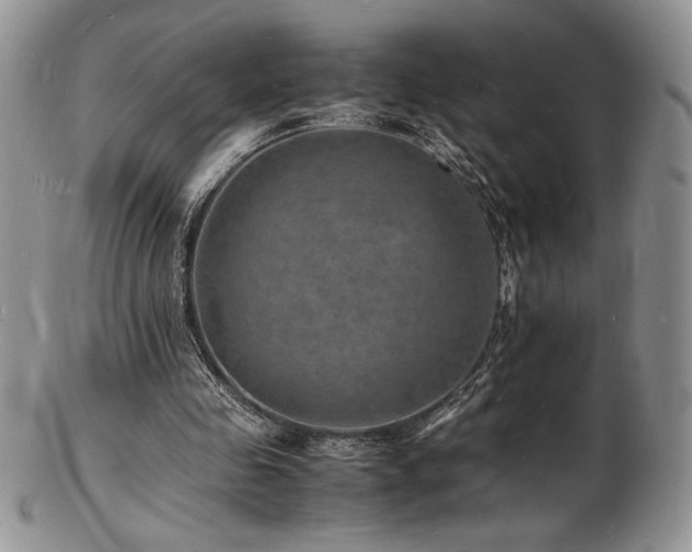 X0000103250341200808281508
