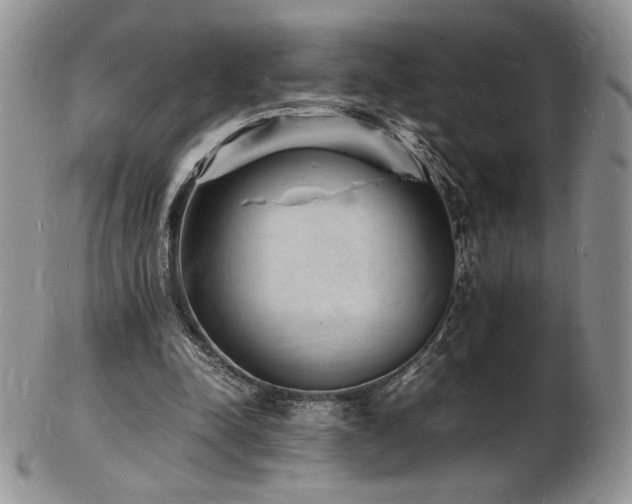X0000103250342200808281508