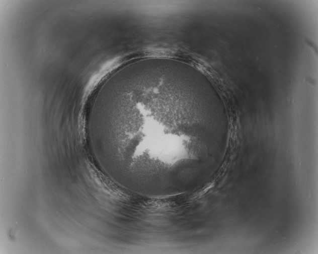 X0000103250343200808281508