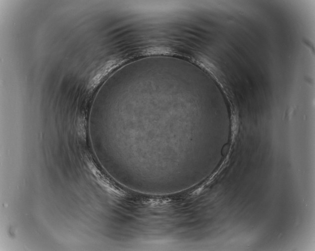 X0000103250345200808281508