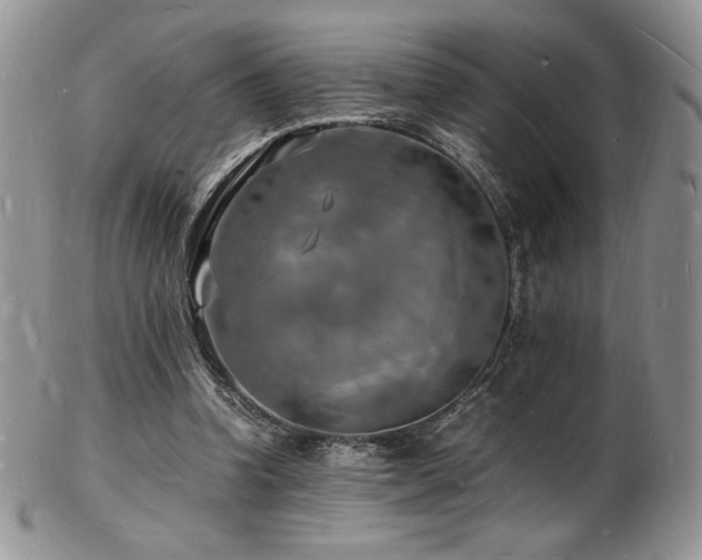 X0000103250346200808281508