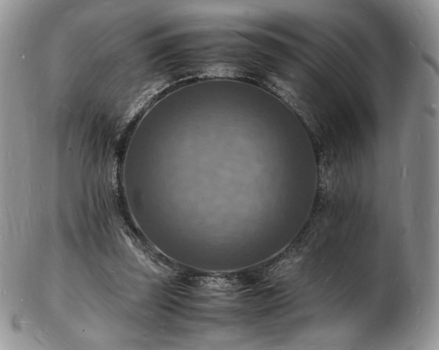 X0000103250347200808281508