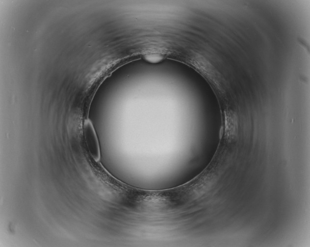 X0000103250348200808281508