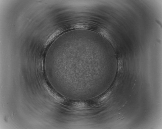 X0000103250349200808281508