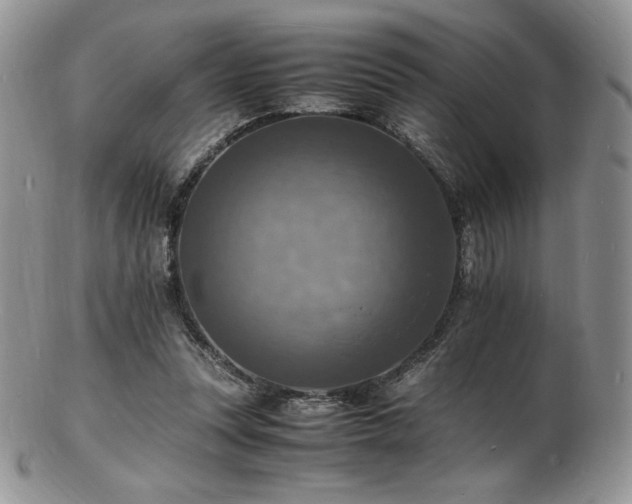 X0000103250351200808281508