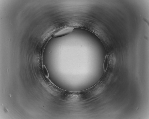 X0000103250352200808281508