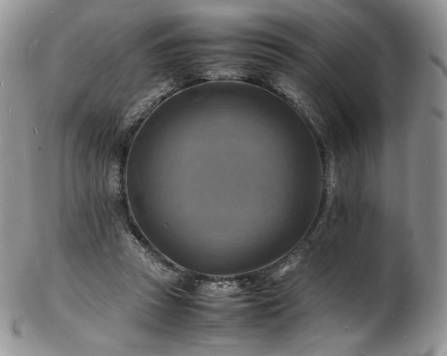 X0000103250353200808281508