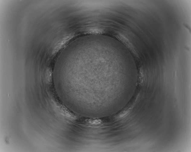 X0000103250355200808281508
