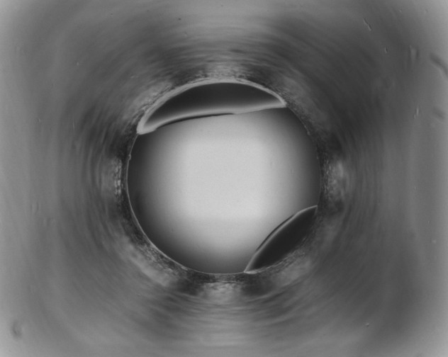 X0000103250356200808281508