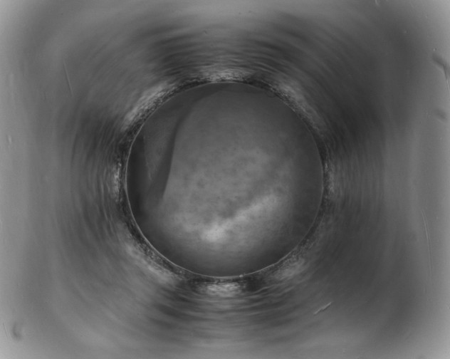 X0000103250357200808281509