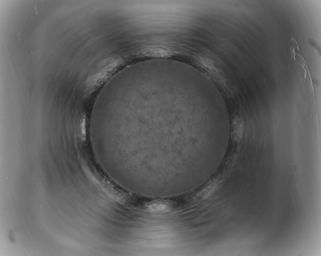 X0000103250358200808281509