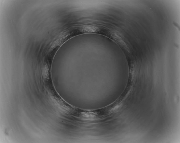 X0000103250359200808281509