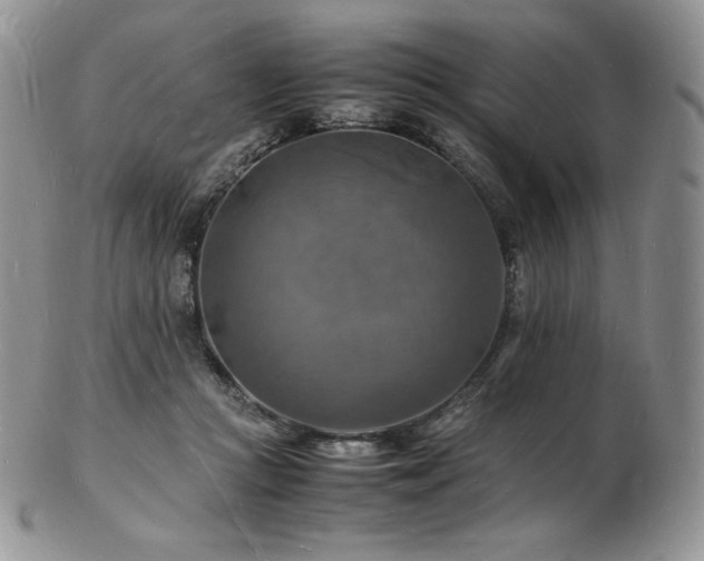 X0000103250361200808281509