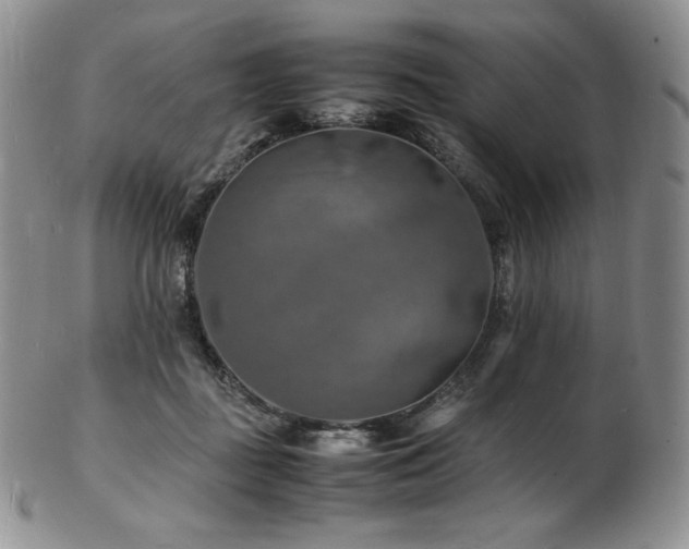X0000103250363200808281509