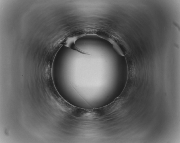 X0000103250364200808281509