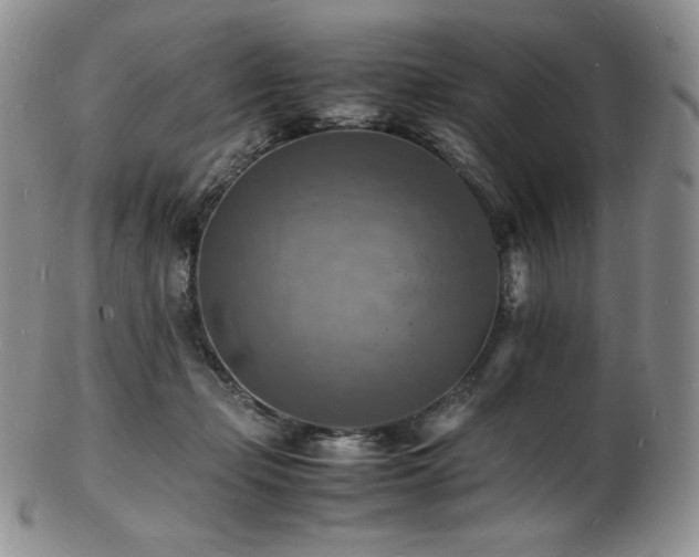 X0000103250365200808281509