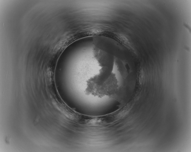 X0000103250366200808281509