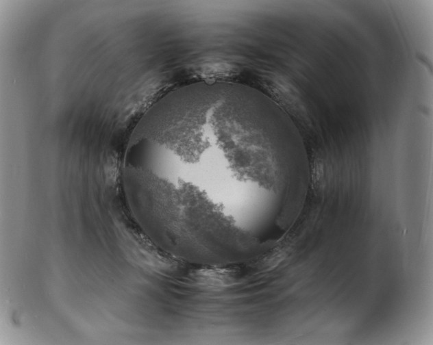 X0000103250367200808281509