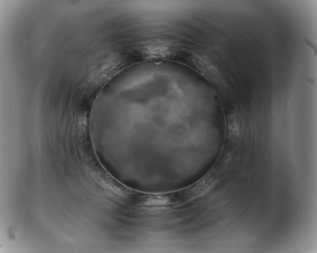 X0000103250369200808281509