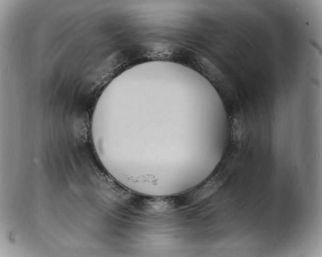 X0000103250370200808281509