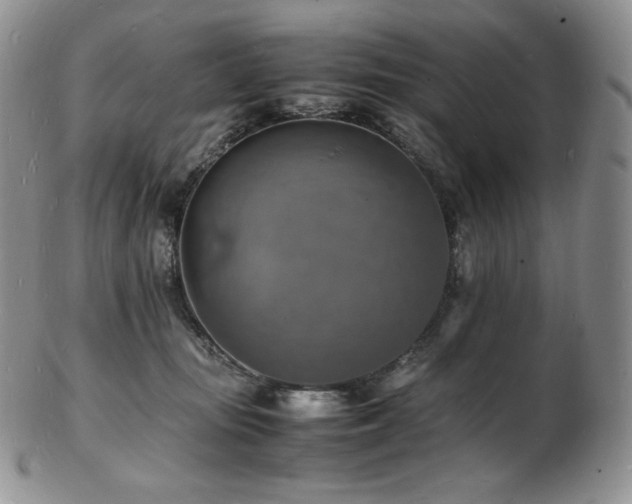X0000103250371200808281509