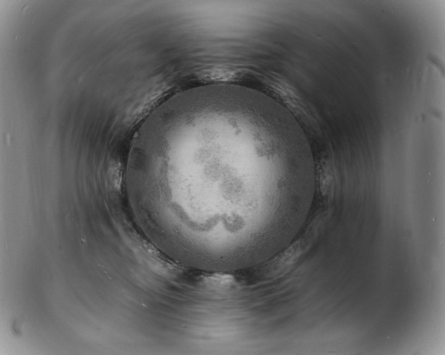 X0000103250374200808281509