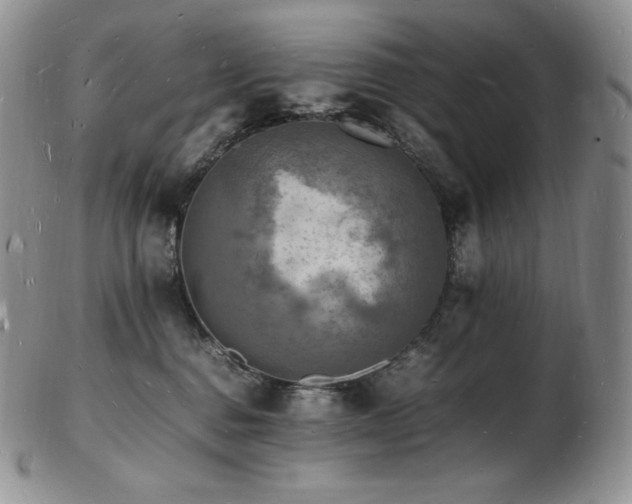 X0000103250376200808281509