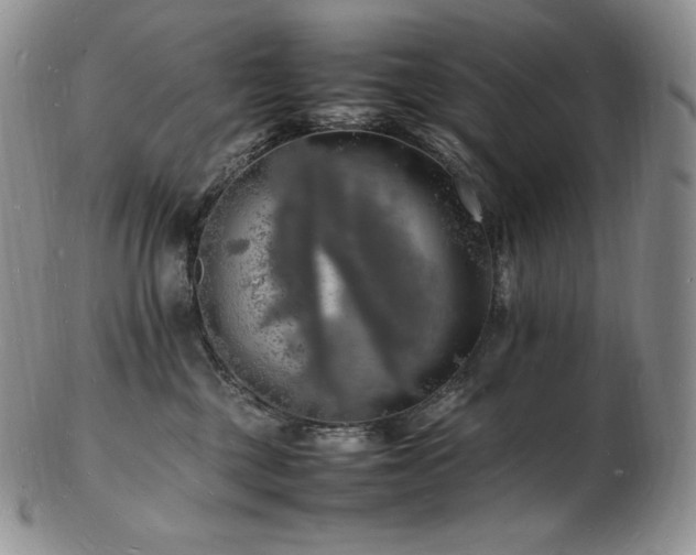 X0000103250377200808281509