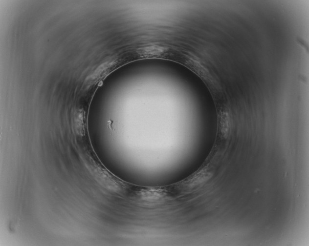 X0000103250378200808281509