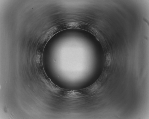 X0000103250379200808281509