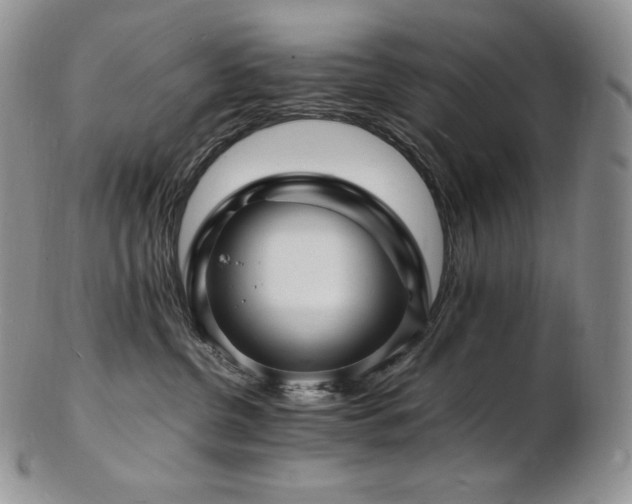 X0000103250380200808281509